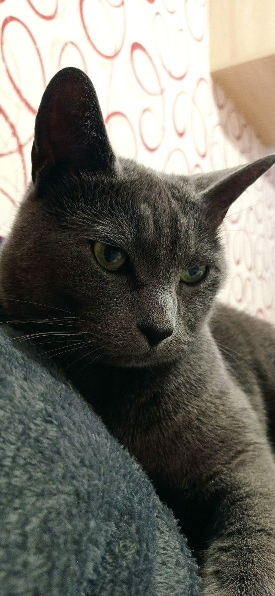 Bond